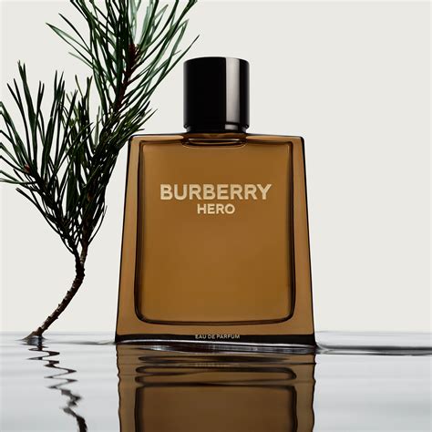 burberry mens cologne hero|Burberry Hero for men 50ml.